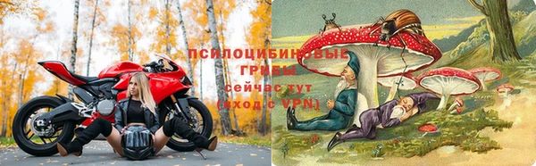 mdpv Ельня