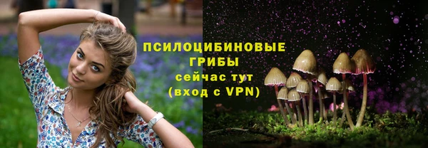 ALPHA PVP Елизово